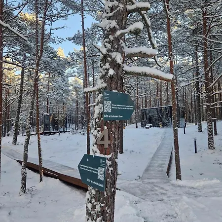 Lejlighed Oeoed Hoetels Lohusalu Leida & Enno Laulasmaa