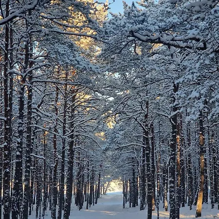 ööd Hötels Lohusalu Leida&enno * Laulasmaa