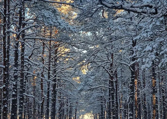 Oeoed Hoetels Lohusalu Leida & Enno * Laulasmaa